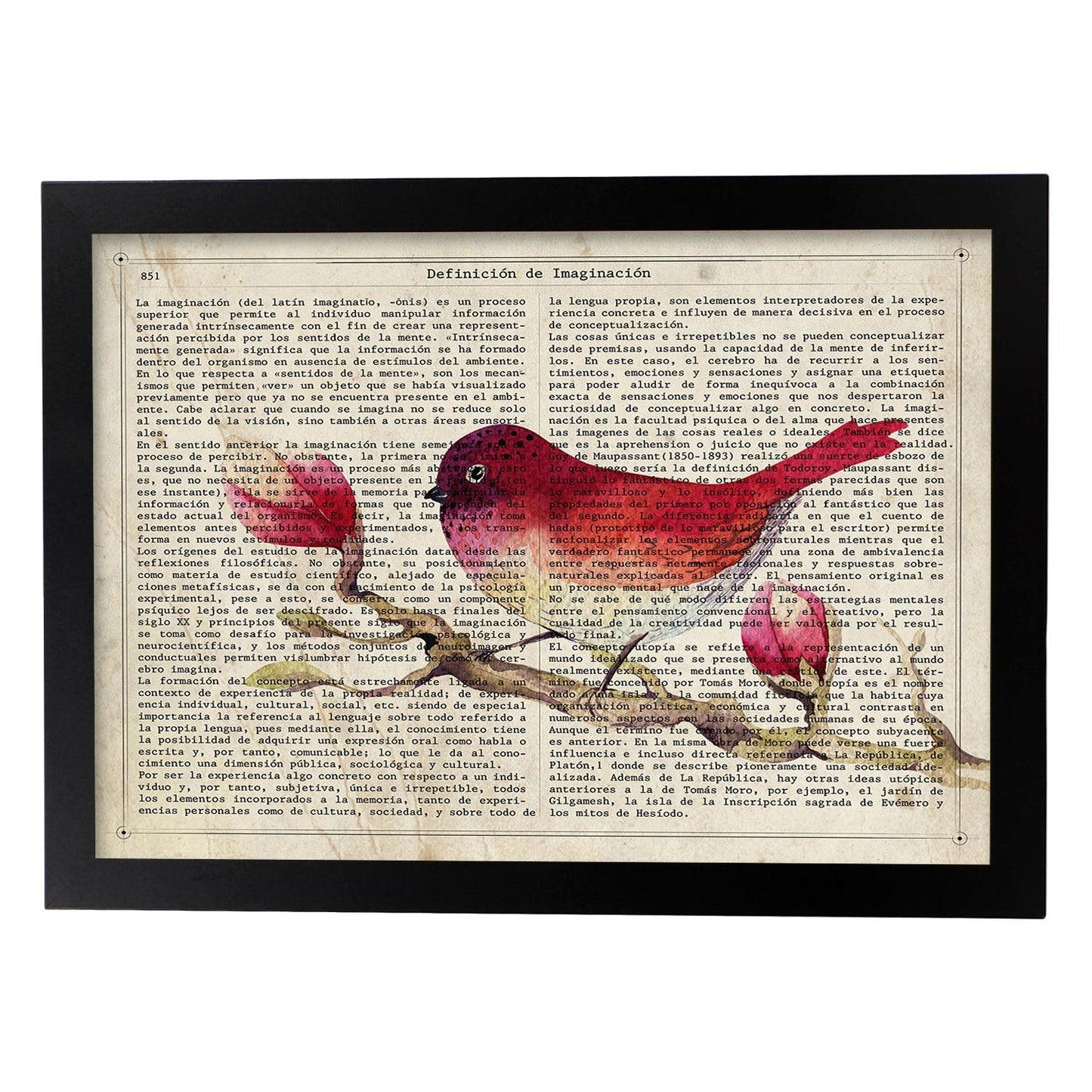 Poster de Strawberry Bird con definición. Láminas de animales con texto y definición. Diseño de interiores basado en animales.-Artwork-Nacnic-A3-Marco Negro-Nacnic Estudio SL