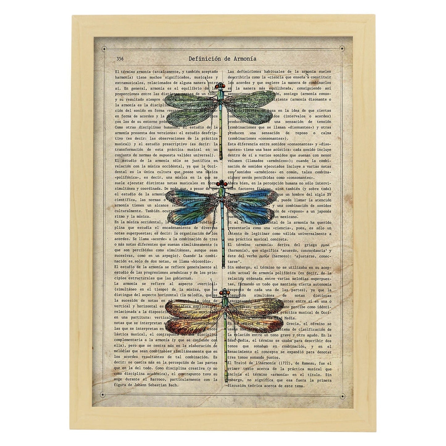 Poster de Tres libélulas. Láminas de mariposas. Decoración de mariposas y polillas.-Artwork-Nacnic-A3-Marco Madera clara-Nacnic Estudio SL