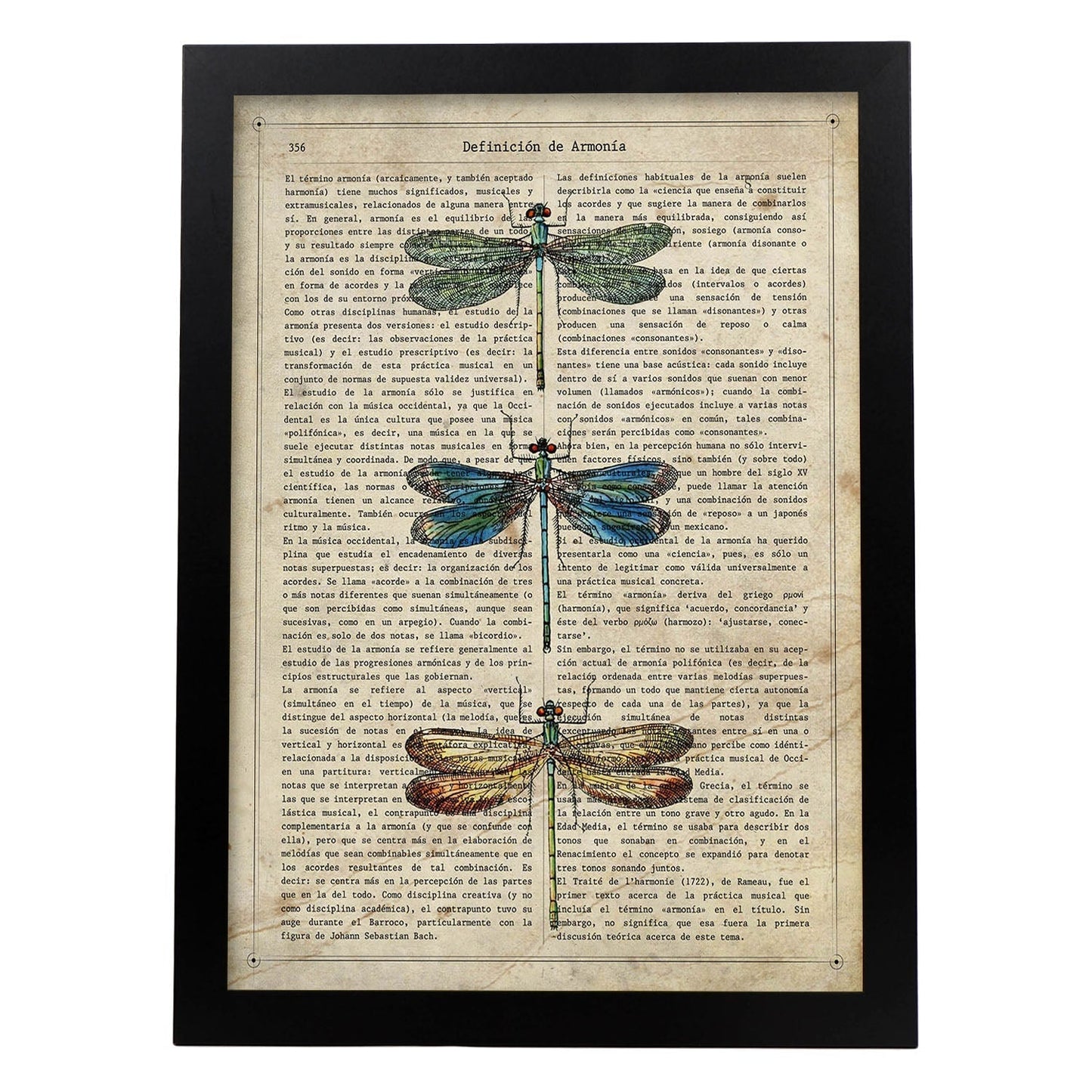 Poster de Tres libélulas. Láminas de mariposas. Decoración de mariposas y polillas.-Artwork-Nacnic-A3-Marco Negro-Nacnic Estudio SL