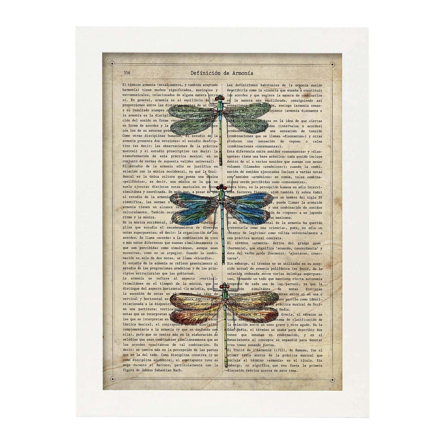 Poster de Tres libélulas. Láminas de mariposas. Decoración de mariposas y polillas.-Artwork-Nacnic-A4-Marco Blanco-Nacnic Estudio SL