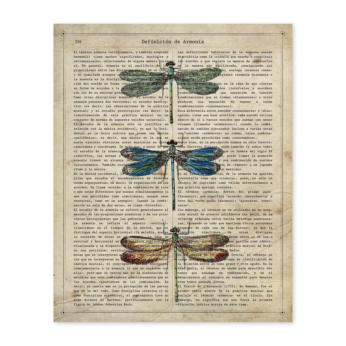 Poster de Tres libélulas. Láminas de mariposas. Decoración de mariposas y polillas.-Artwork-Nacnic-A4-Sin marco-Nacnic Estudio SL