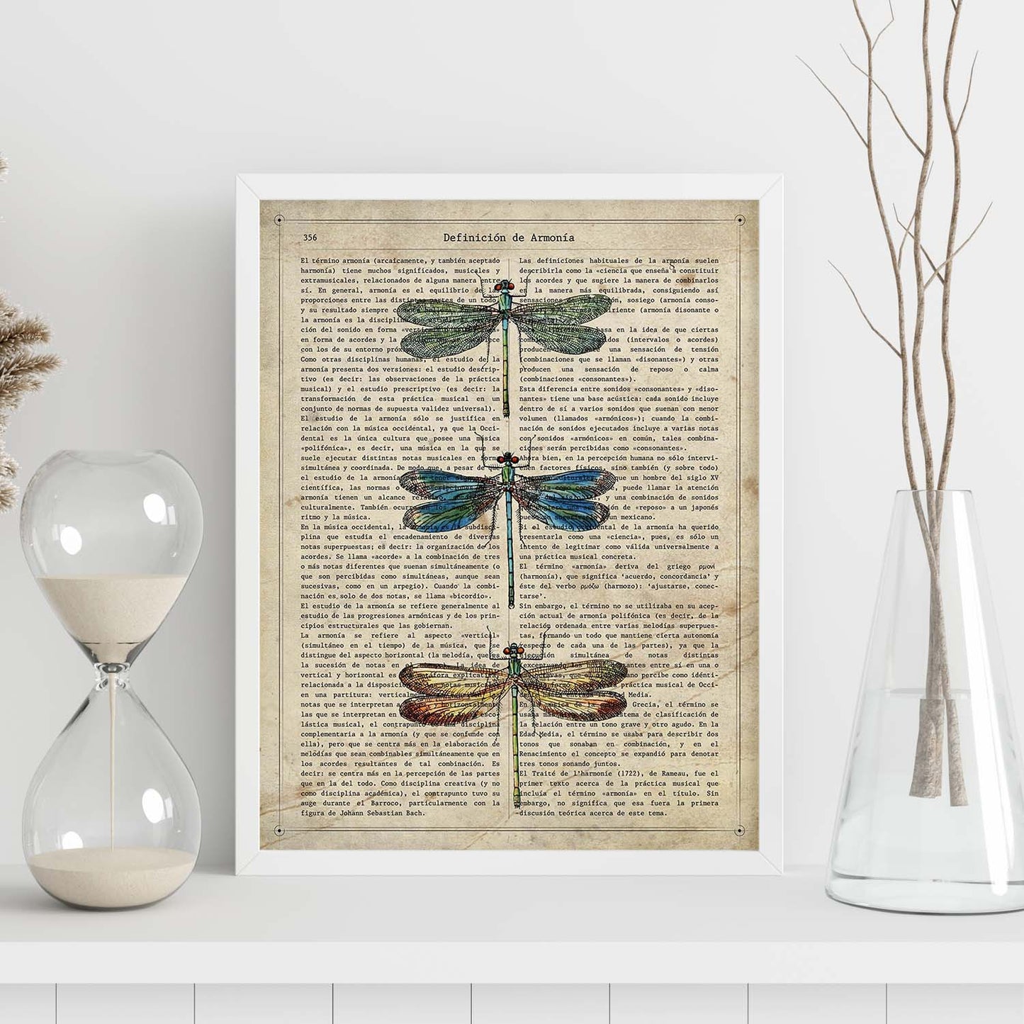 Poster de Tres libélulas. Láminas de mariposas. Decoración de mariposas y polillas.-Artwork-Nacnic-Nacnic Estudio SL