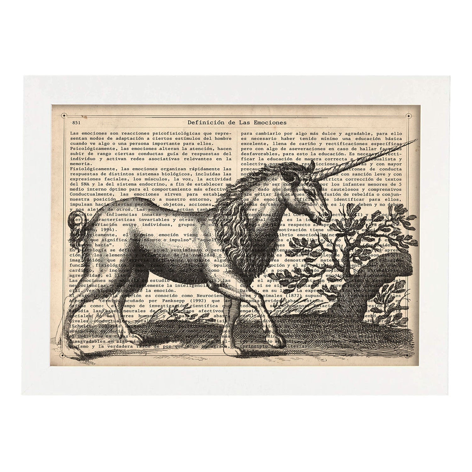 Poster de Unicornio. Láminas de animales con definiciones. Ilustraciones de animales con textos.-Artwork-Nacnic-A3-Marco Blanco-Nacnic Estudio SL