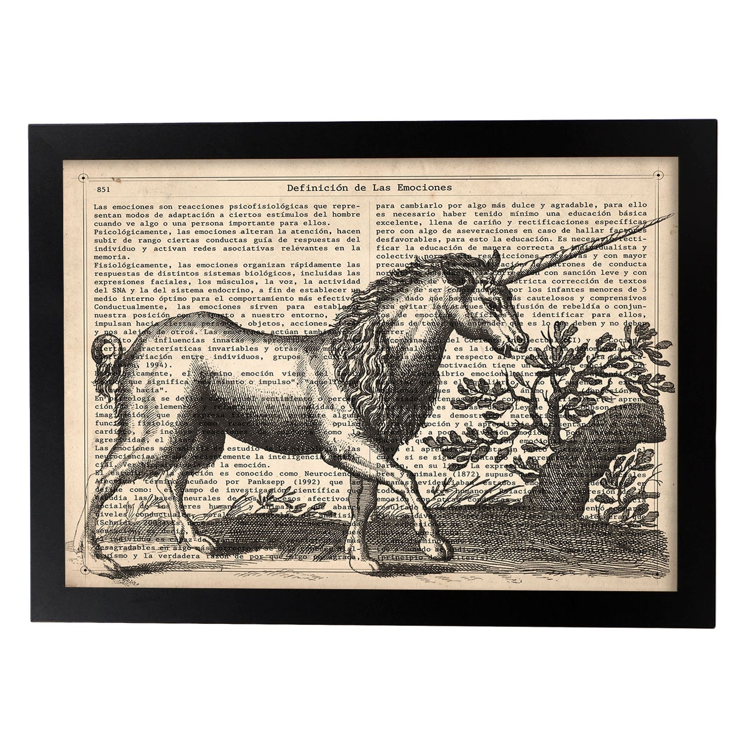 Poster de Unicornio. Láminas de animales con definiciones. Ilustraciones de animales con textos.-Artwork-Nacnic-A3-Marco Negro-Nacnic Estudio SL