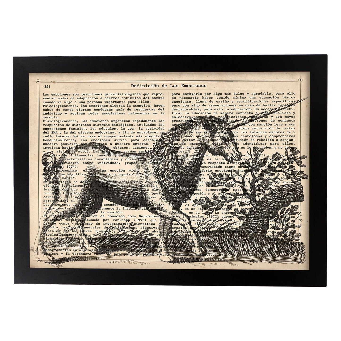 Poster de Unicornio. Láminas de animales con definiciones. Ilustraciones de animales con textos.-Artwork-Nacnic-A4-Marco Negro-Nacnic Estudio SL