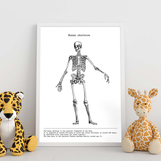 Posters de anatomía en blanco y negro con imágenes del cuerpo humano. Láminas de "Esqueleto". .-Artwork-Nacnic-Nacnic Estudio SL