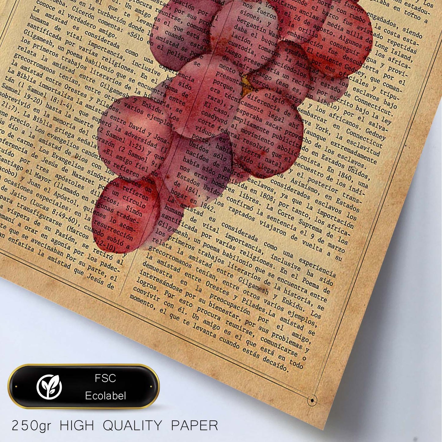 Posters de frutas con texto. Lámina Garnacha con imágenes de alimentación saludable con definiciones.-Artwork-Nacnic-Nacnic Estudio SL