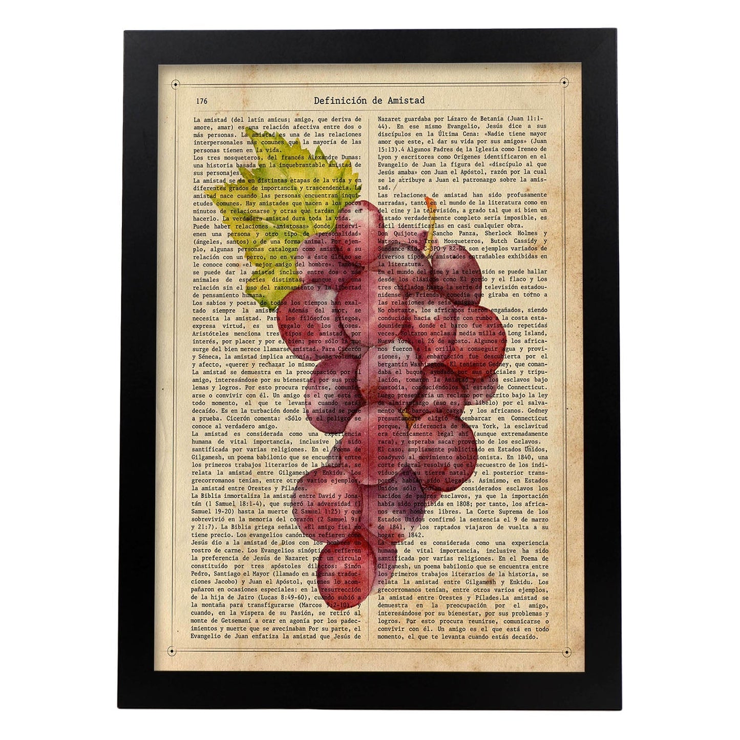 Posters de frutas con texto. Lámina Garnacha con imágenes de alimentación saludable con definiciones.-Artwork-Nacnic-A3-Marco Negro-Nacnic Estudio SL