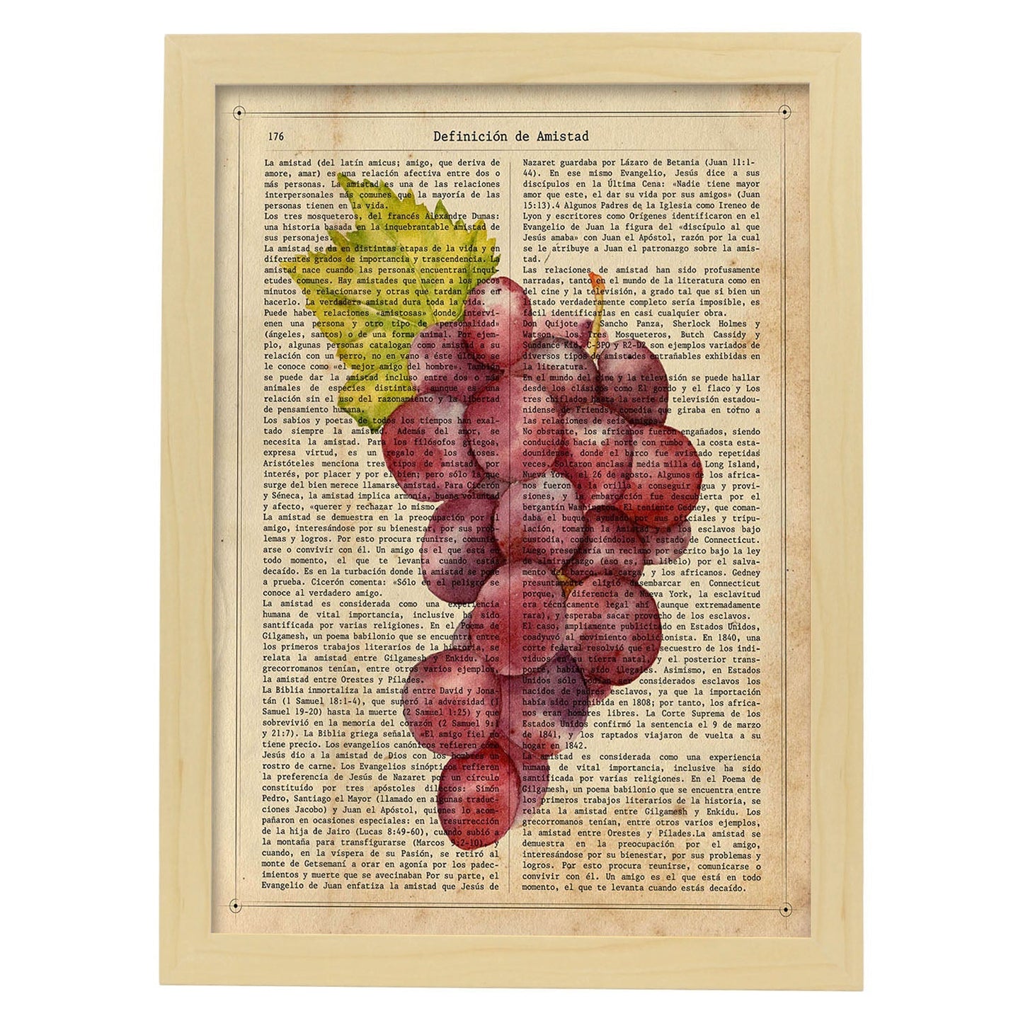 Posters de frutas con texto. Lámina Garnacha con imágenes de alimentación saludable con definiciones.-Artwork-Nacnic-A4-Marco Madera clara-Nacnic Estudio SL