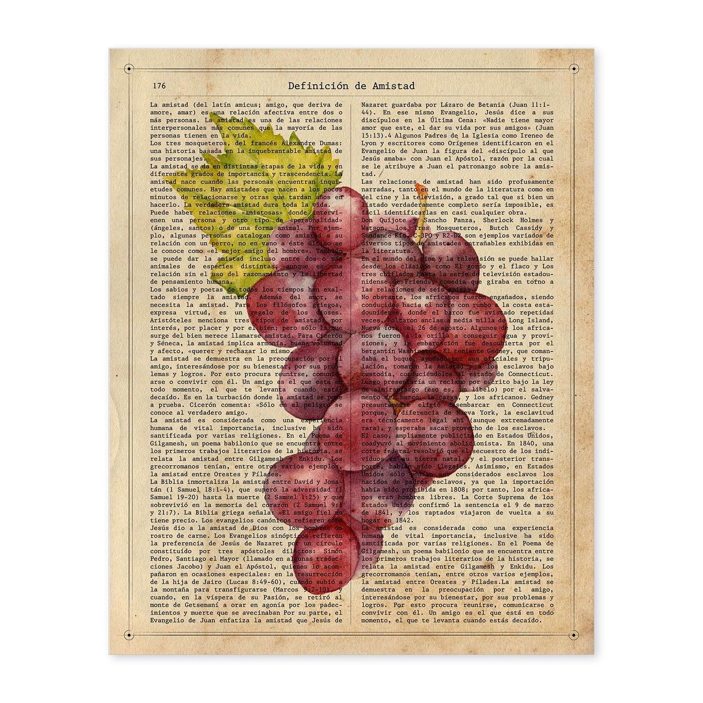 Posters de frutas con texto. Lámina Garnacha con imágenes de alimentación saludable con definiciones.-Artwork-Nacnic-A4-Sin marco-Nacnic Estudio SL