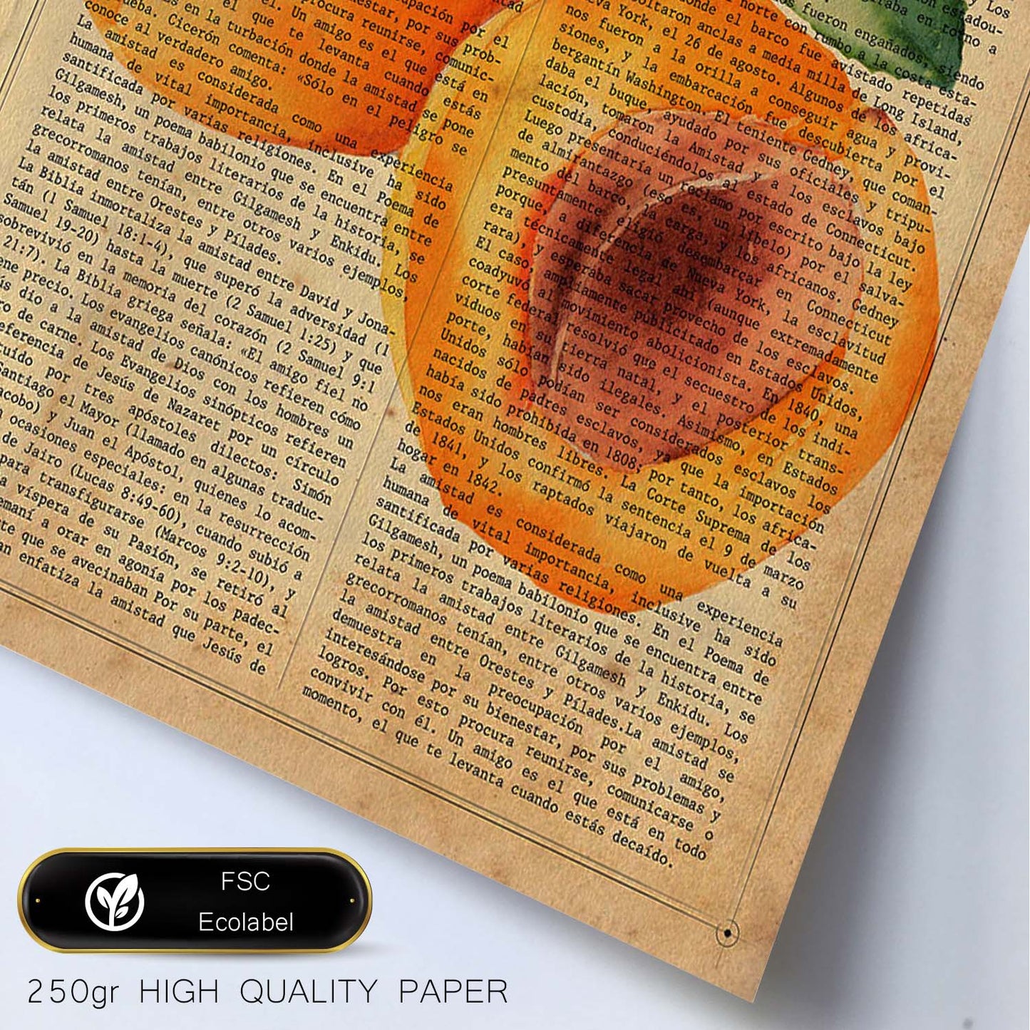 Posters de frutas con texto. Lámina Melocotón abierto con imágenes de alimentación saludable con definiciones.-Artwork-Nacnic-Nacnic Estudio SL
