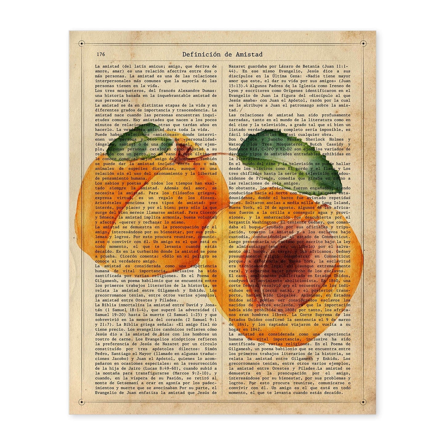 Posters de frutas con texto. Lámina Melocotón abierto con imágenes de alimentación saludable con definiciones.-Artwork-Nacnic-A4-Sin marco-Nacnic Estudio SL