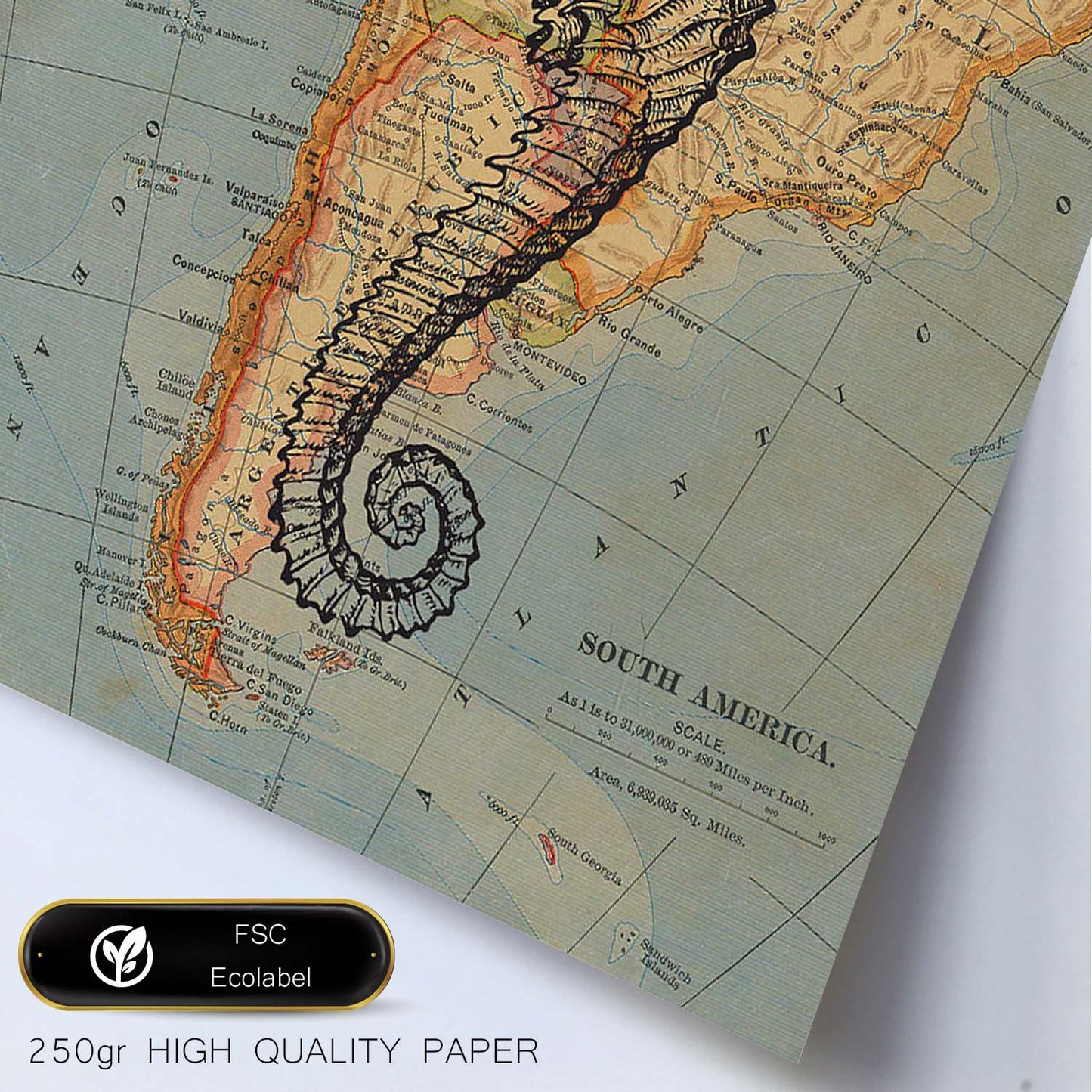 Posters de objetos sobre mapas. Lámina Caballito de mar blanco y negro, con diseño de objetos sobre mapas vintage.-Artwork-Nacnic-Nacnic Estudio SL