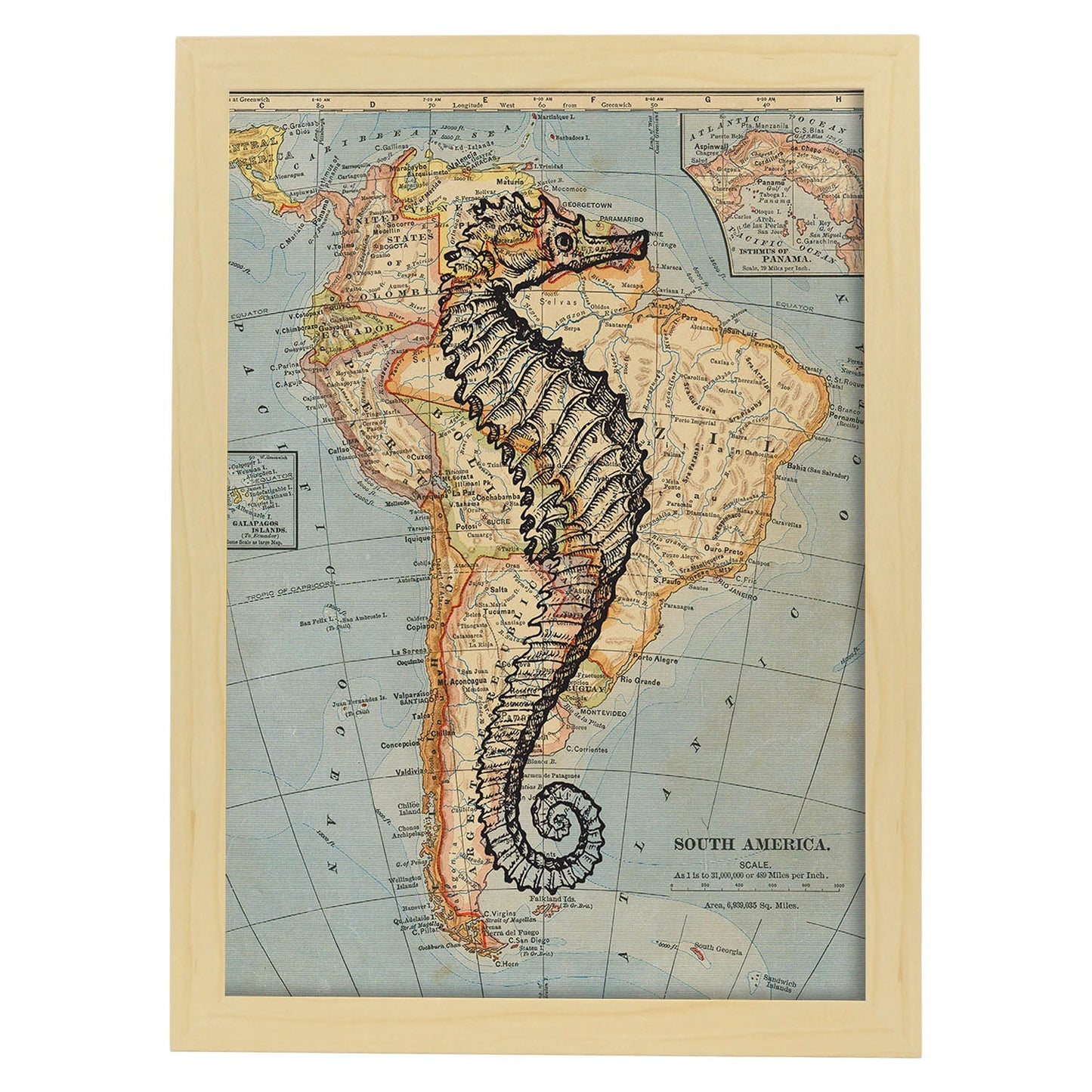 Posters de objetos sobre mapas. Lámina Caballito de mar blanco y negro, con diseño de objetos sobre mapas vintage.-Artwork-Nacnic-A3-Marco Madera clara-Nacnic Estudio SL