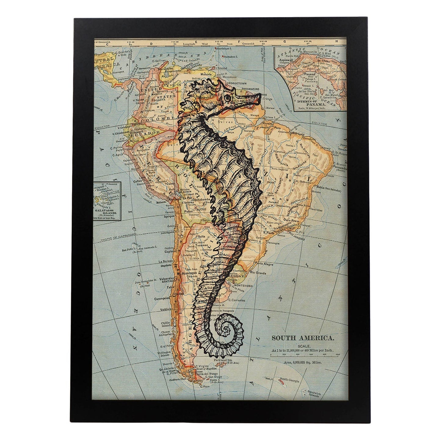 Posters de objetos sobre mapas. Lámina Caballito de mar blanco y negro, con diseño de objetos sobre mapas vintage.-Artwork-Nacnic-A3-Marco Negro-Nacnic Estudio SL