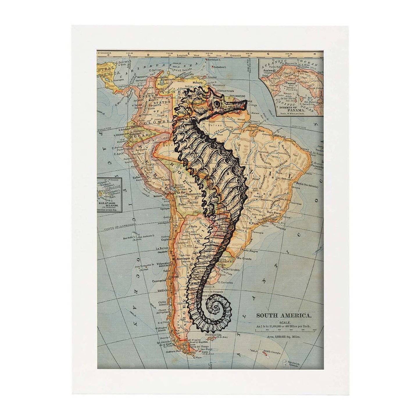Posters de objetos sobre mapas. Lámina Caballito de mar blanco y negro, con diseño de objetos sobre mapas vintage.-Artwork-Nacnic-A4-Marco Blanco-Nacnic Estudio SL