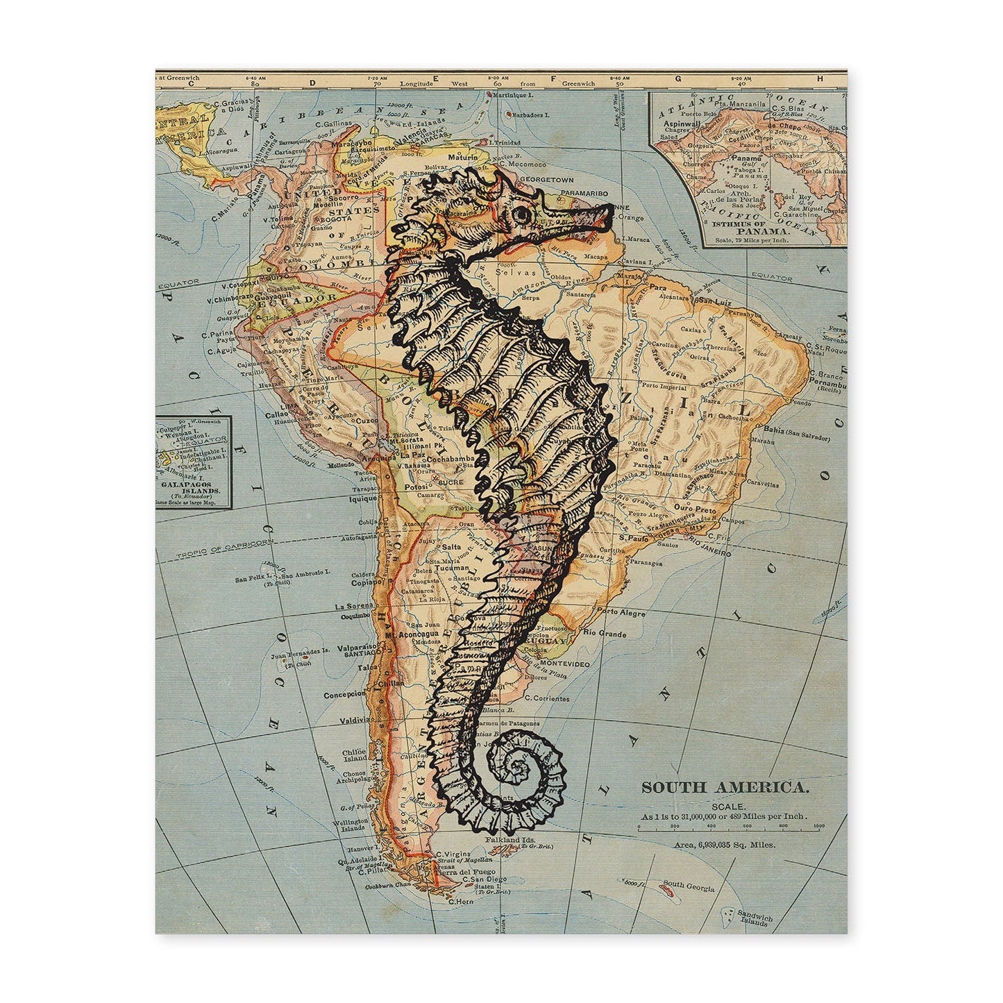 Posters de objetos sobre mapas. Lámina Caballito de mar blanco y negro, con diseño de objetos sobre mapas vintage.-Artwork-Nacnic-A4-Sin marco-Nacnic Estudio SL