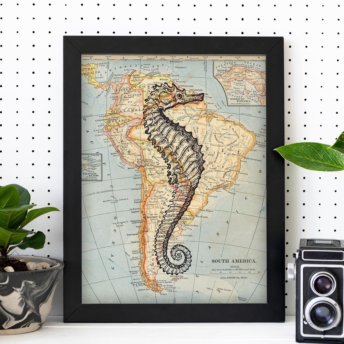 Posters de objetos sobre mapas. Lámina Caballito de mar blanco y negro, con diseño de objetos sobre mapas vintage.-Artwork-Nacnic-Nacnic Estudio SL