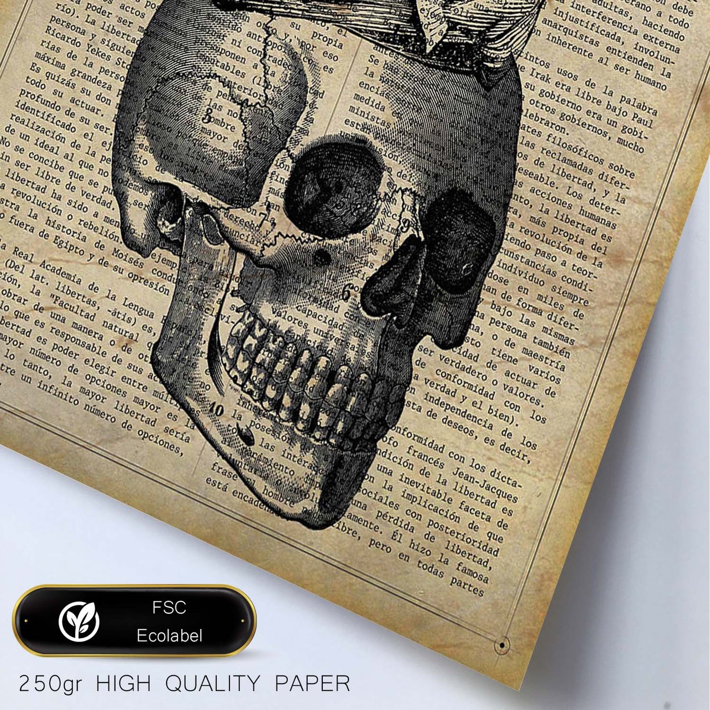 Posters de objetos vintage. Lámina Tu cara me Suena con imágenes de objetos e instrumentos vintage, con definiciones en español.-Artwork-Nacnic-Nacnic Estudio SL