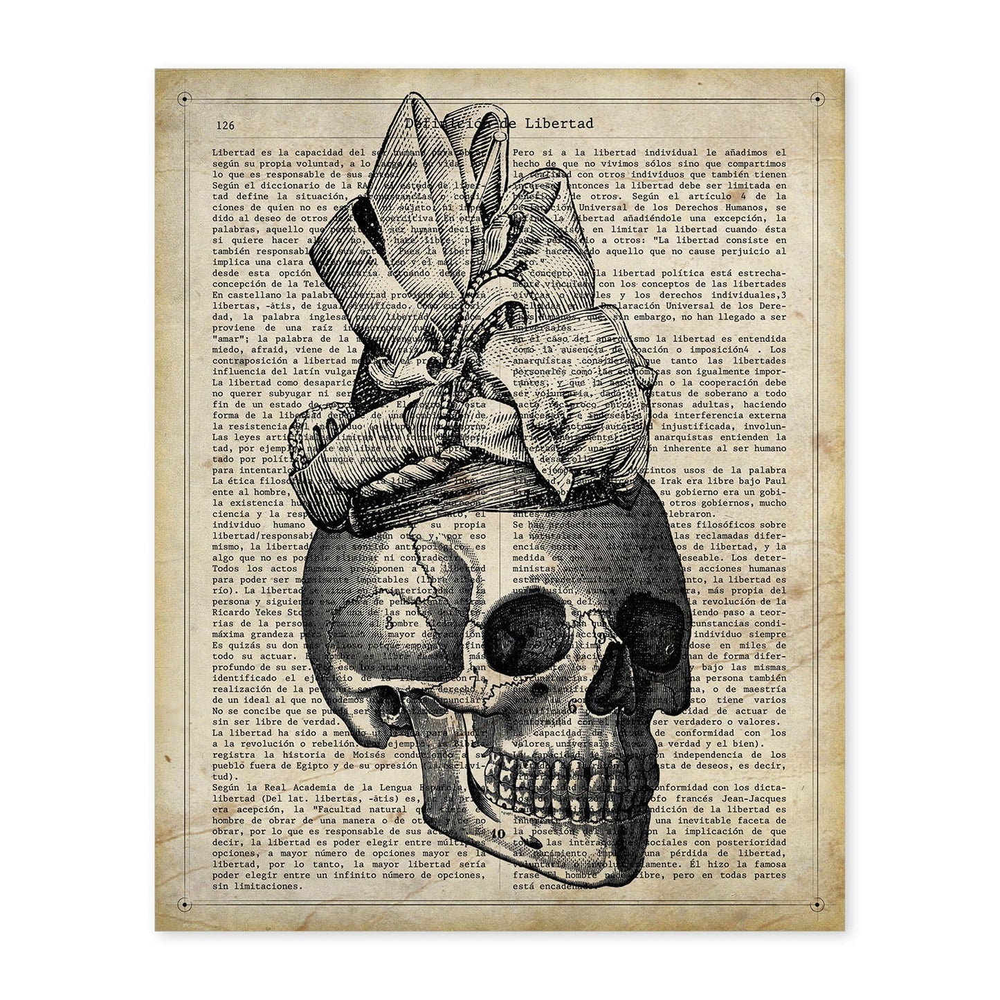 Posters de objetos vintage. Lámina Tu cara me Suena con imágenes de objetos e instrumentos vintage, con definiciones en español.-Artwork-Nacnic-A4-Sin marco-Nacnic Estudio SL