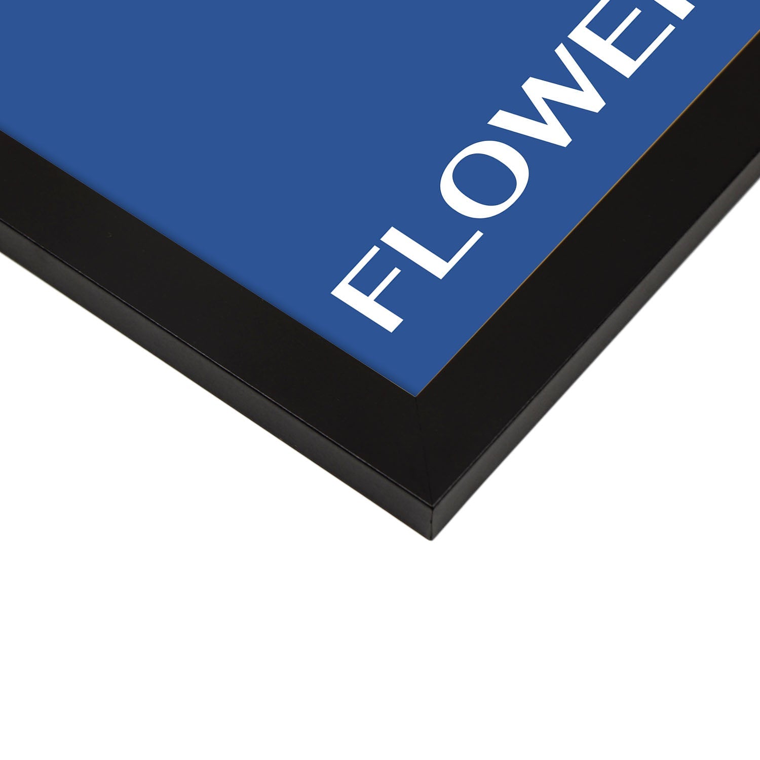 Primerose closeup-Artwork-Nacnic-Nacnic Estudio SL