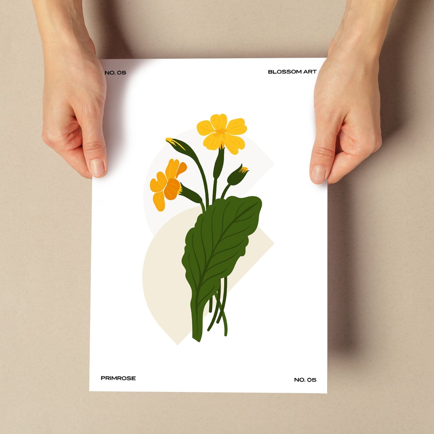 Primrose-Artwork-Nacnic-Nacnic Estudio SL