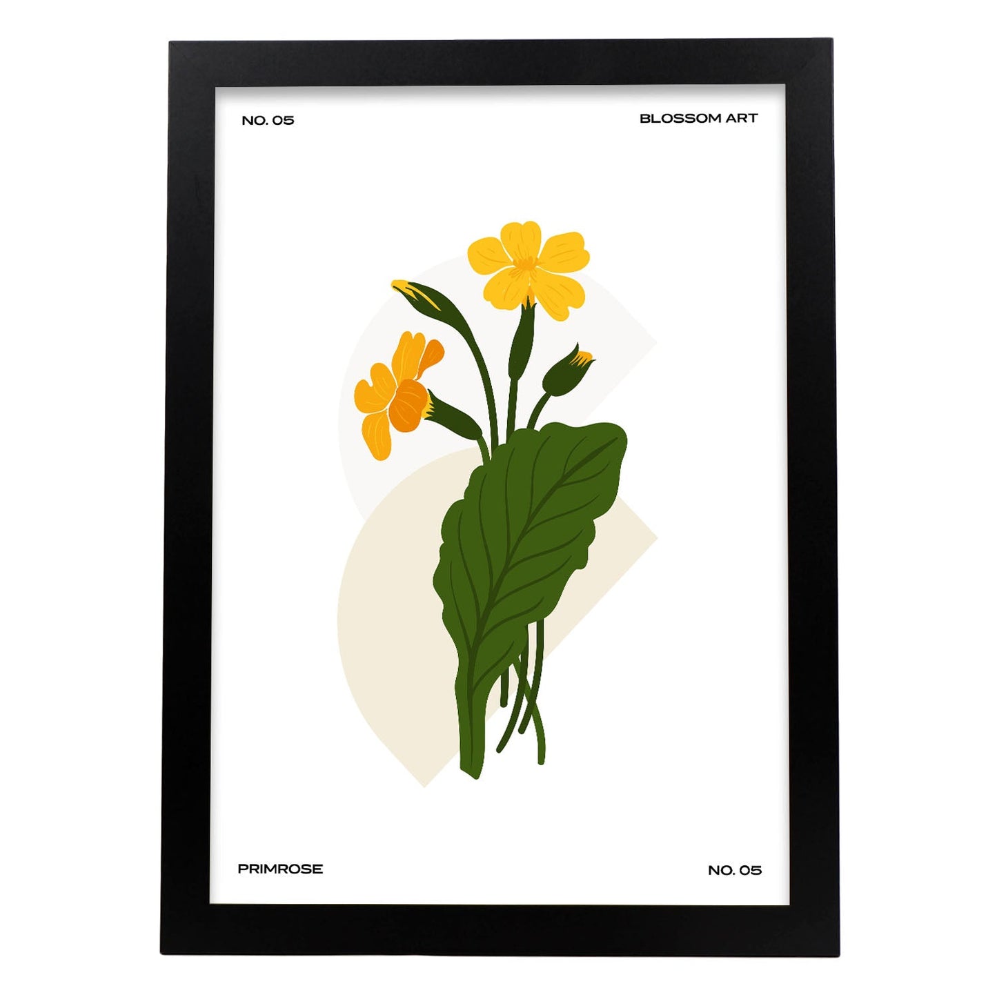 Primrose-Artwork-Nacnic-A3-Sin marco-Nacnic Estudio SL