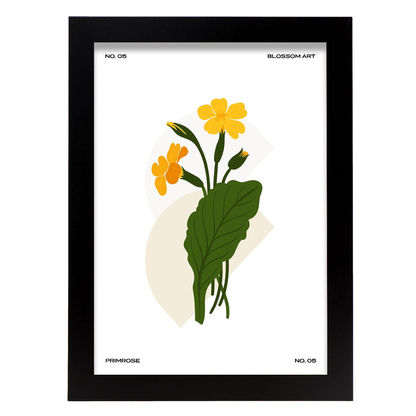 Primrose-Artwork-Nacnic-A4-Sin marco-Nacnic Estudio SL