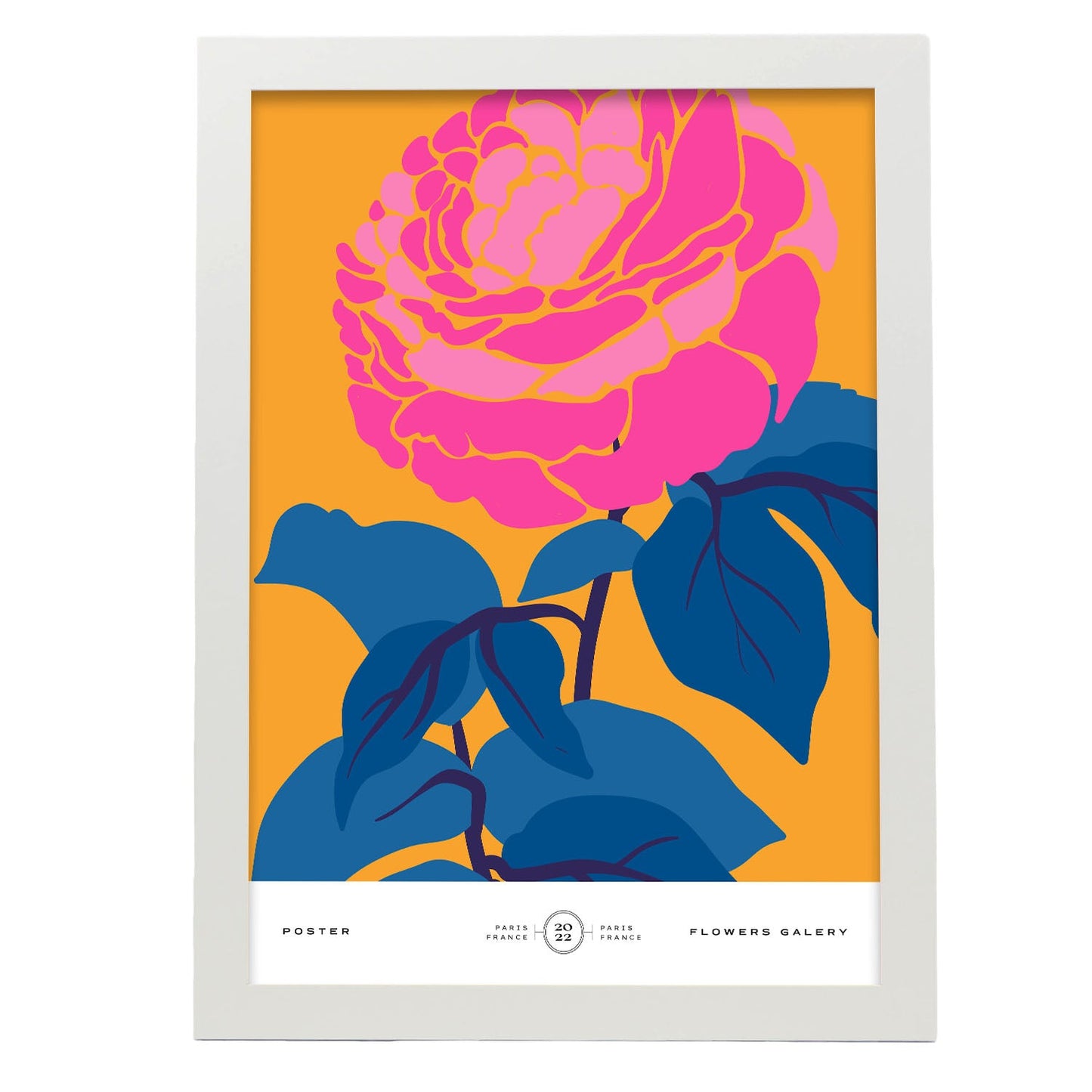 Ranunculus-Artwork-Nacnic-A3-Marco Blanco-Nacnic Estudio SL