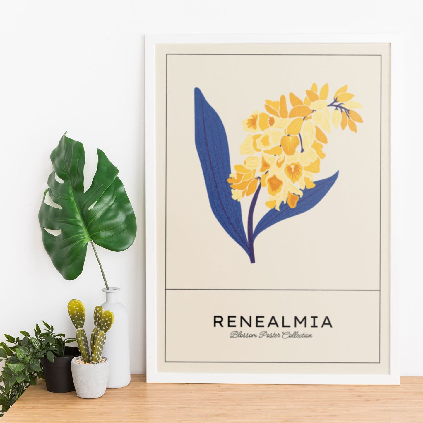 Renealmia-Artwork-Nacnic-Nacnic Estudio SL