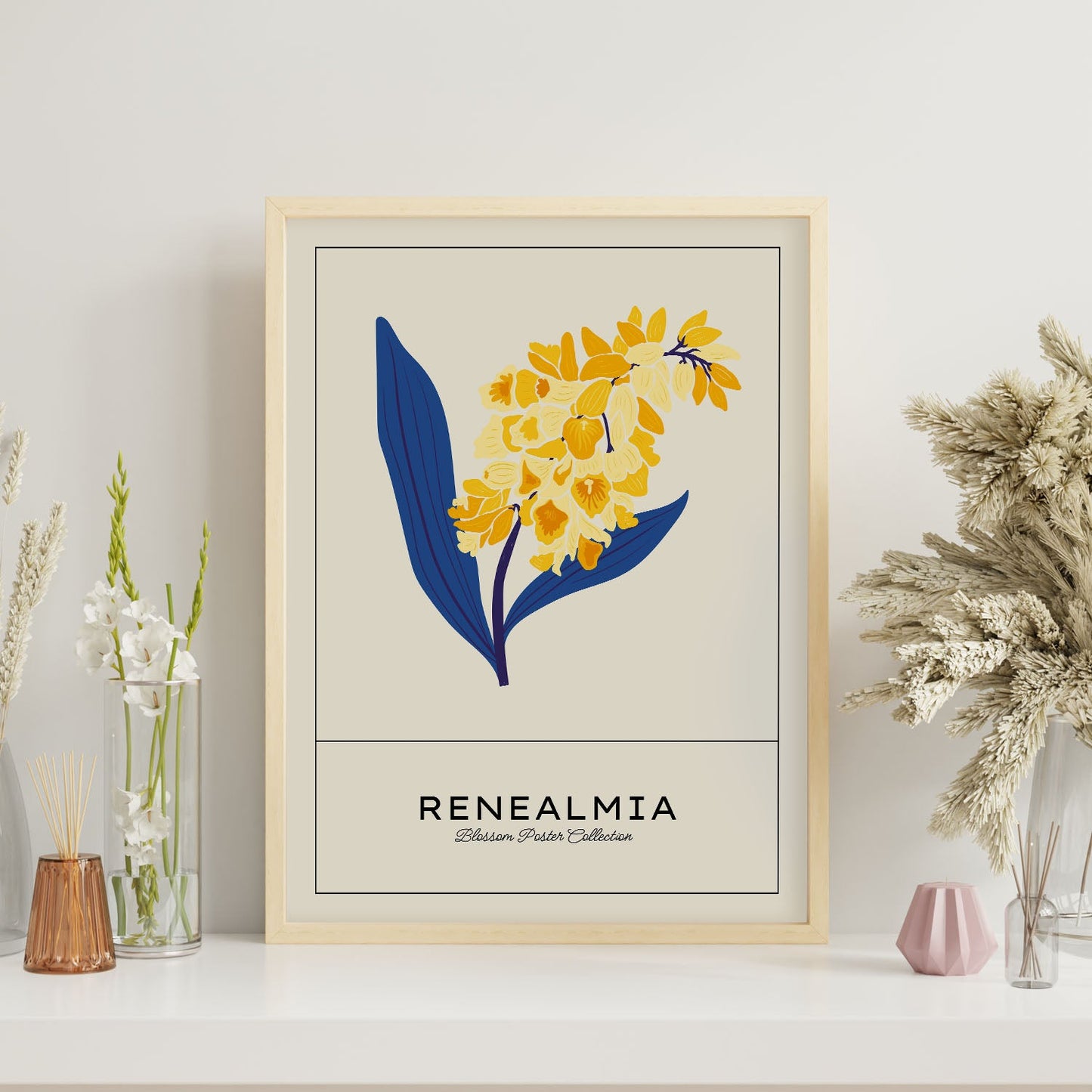 Renealmia-Artwork-Nacnic-Nacnic Estudio SL