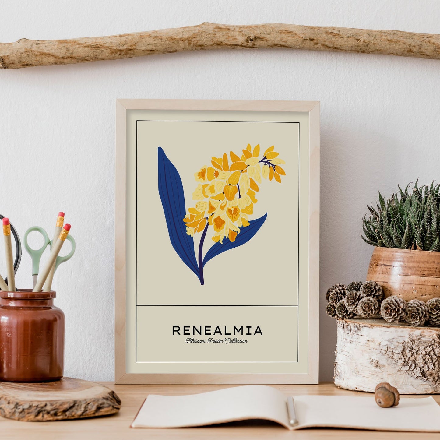 Renealmia-Artwork-Nacnic-Nacnic Estudio SL