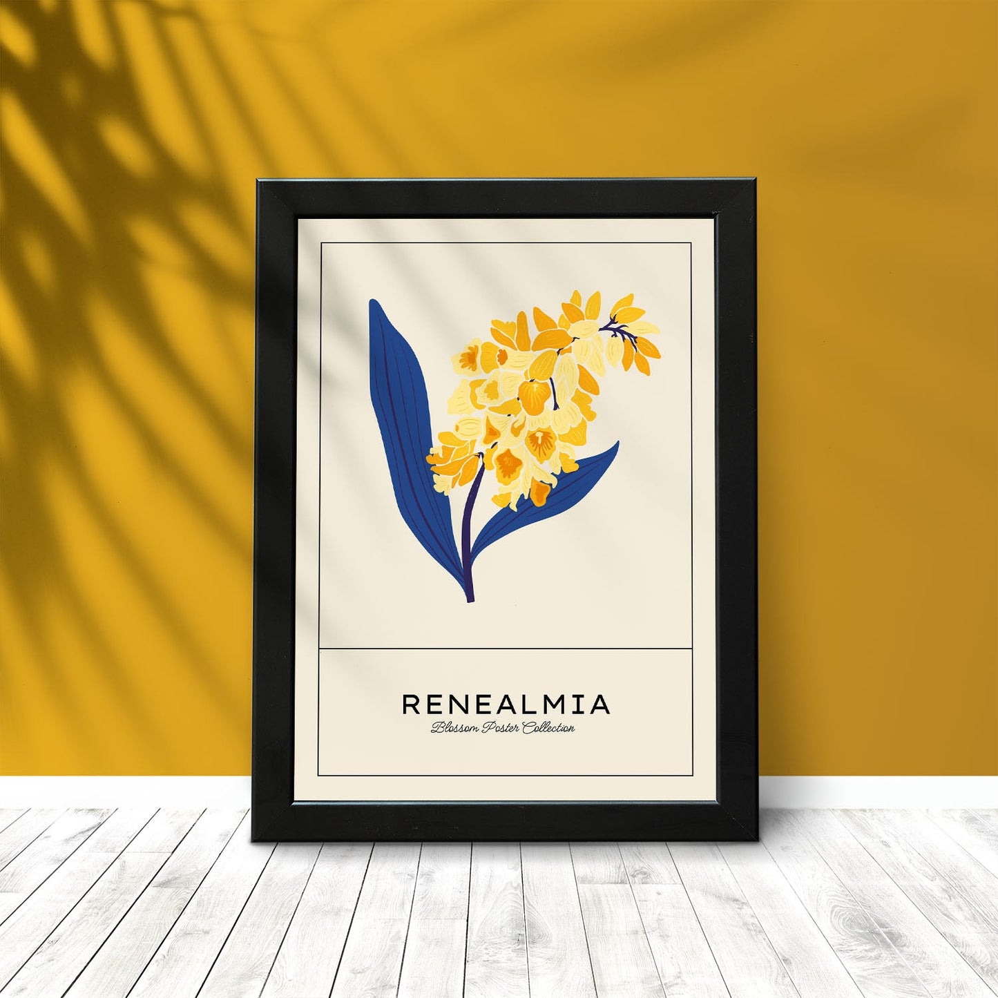 Renealmia-Artwork-Nacnic-Nacnic Estudio SL