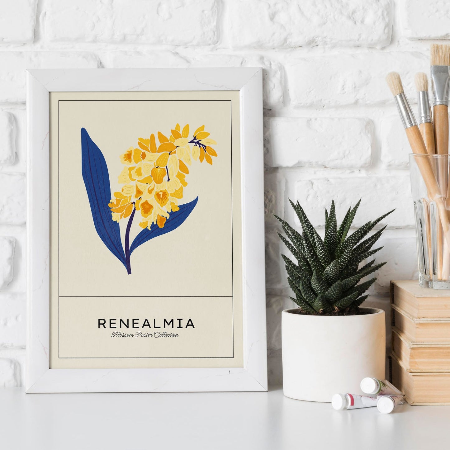 Renealmia-Artwork-Nacnic-Nacnic Estudio SL