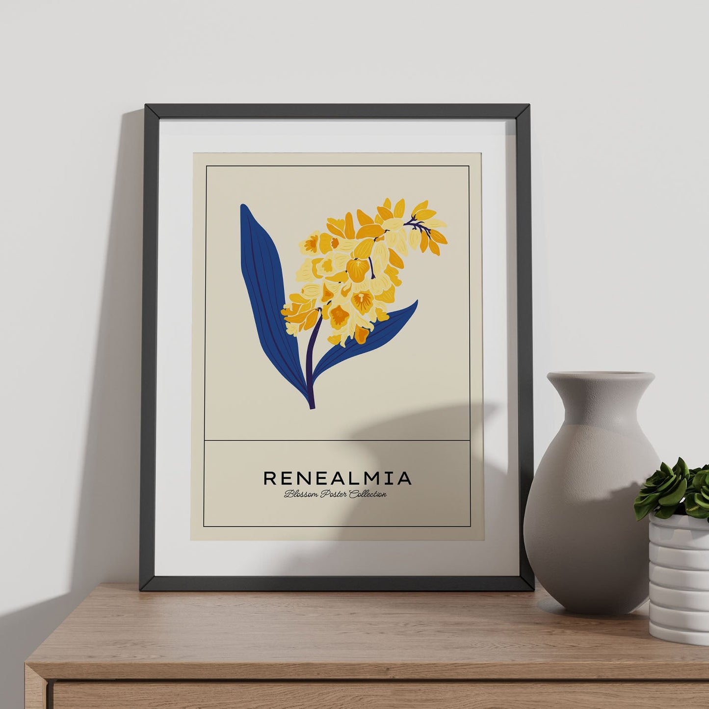 Renealmia-Artwork-Nacnic-Nacnic Estudio SL