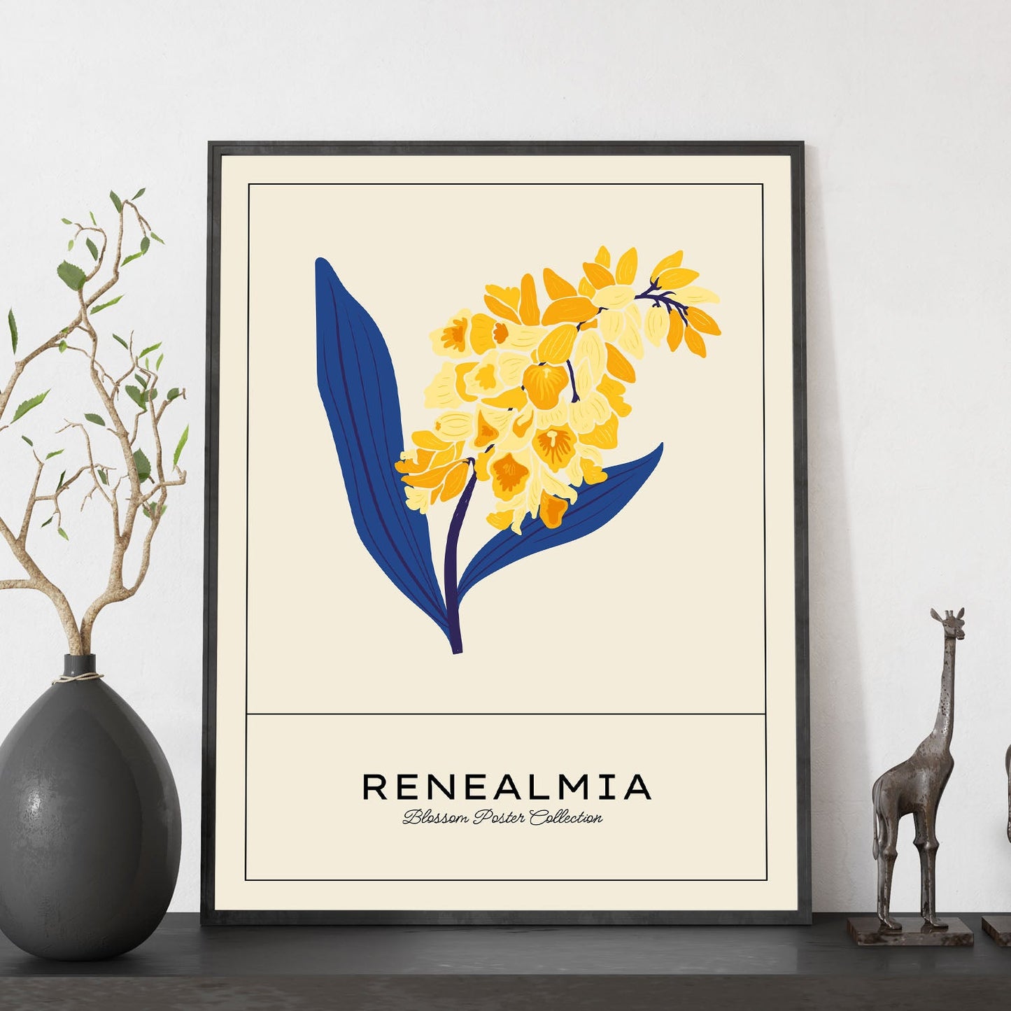 Renealmia-Artwork-Nacnic-Nacnic Estudio SL