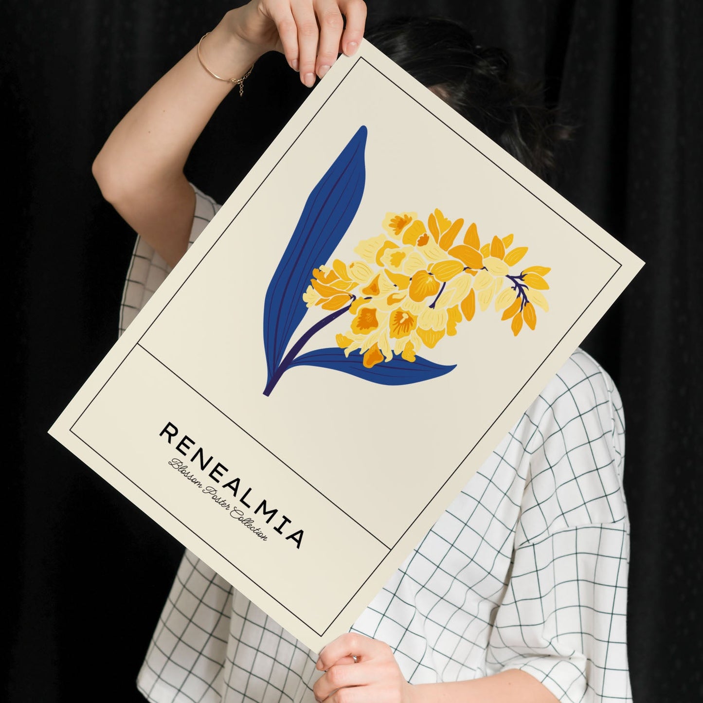 Renealmia-Artwork-Nacnic-Nacnic Estudio SL