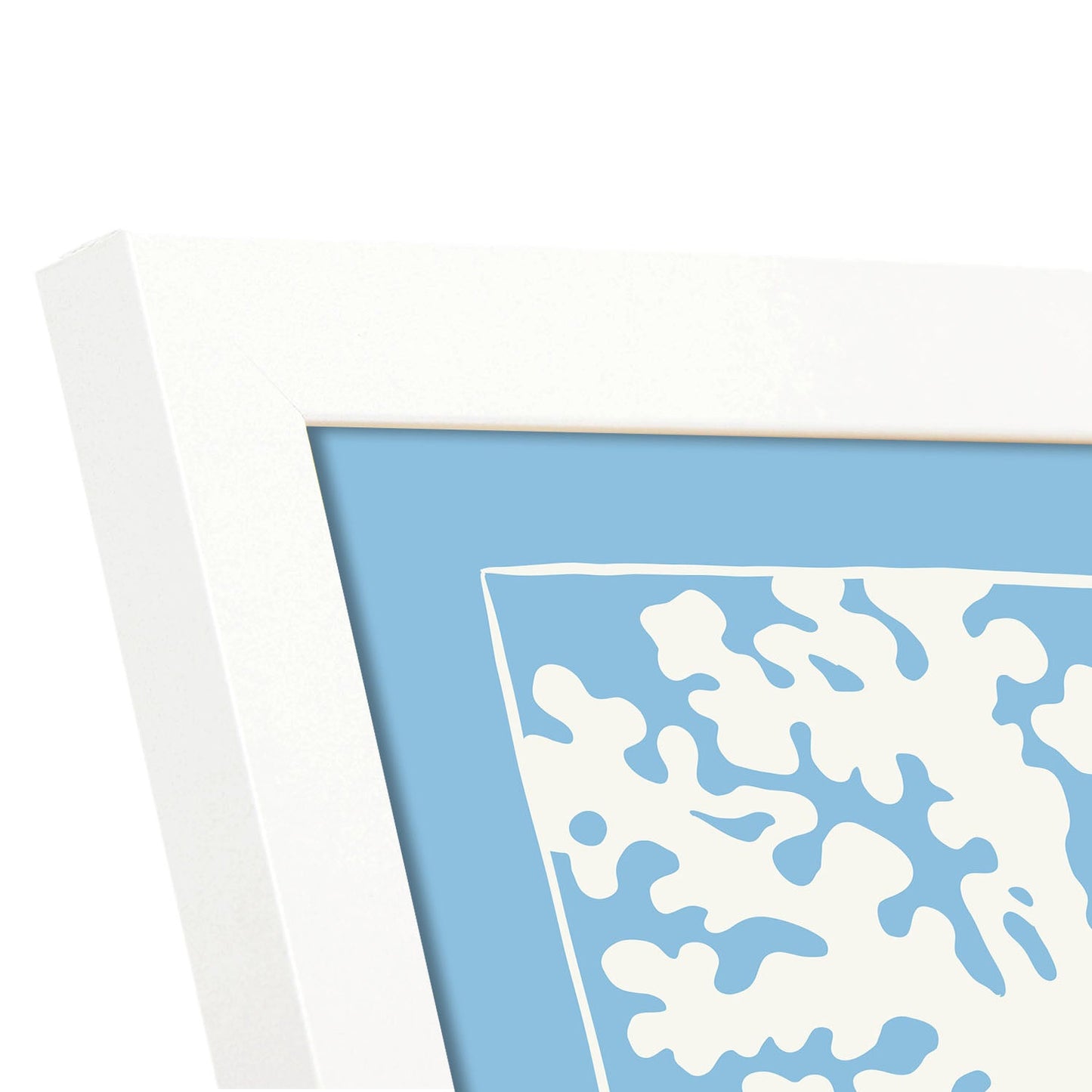 Rhodymenia Seaweeds-Artwork-Nacnic-Nacnic Estudio SL