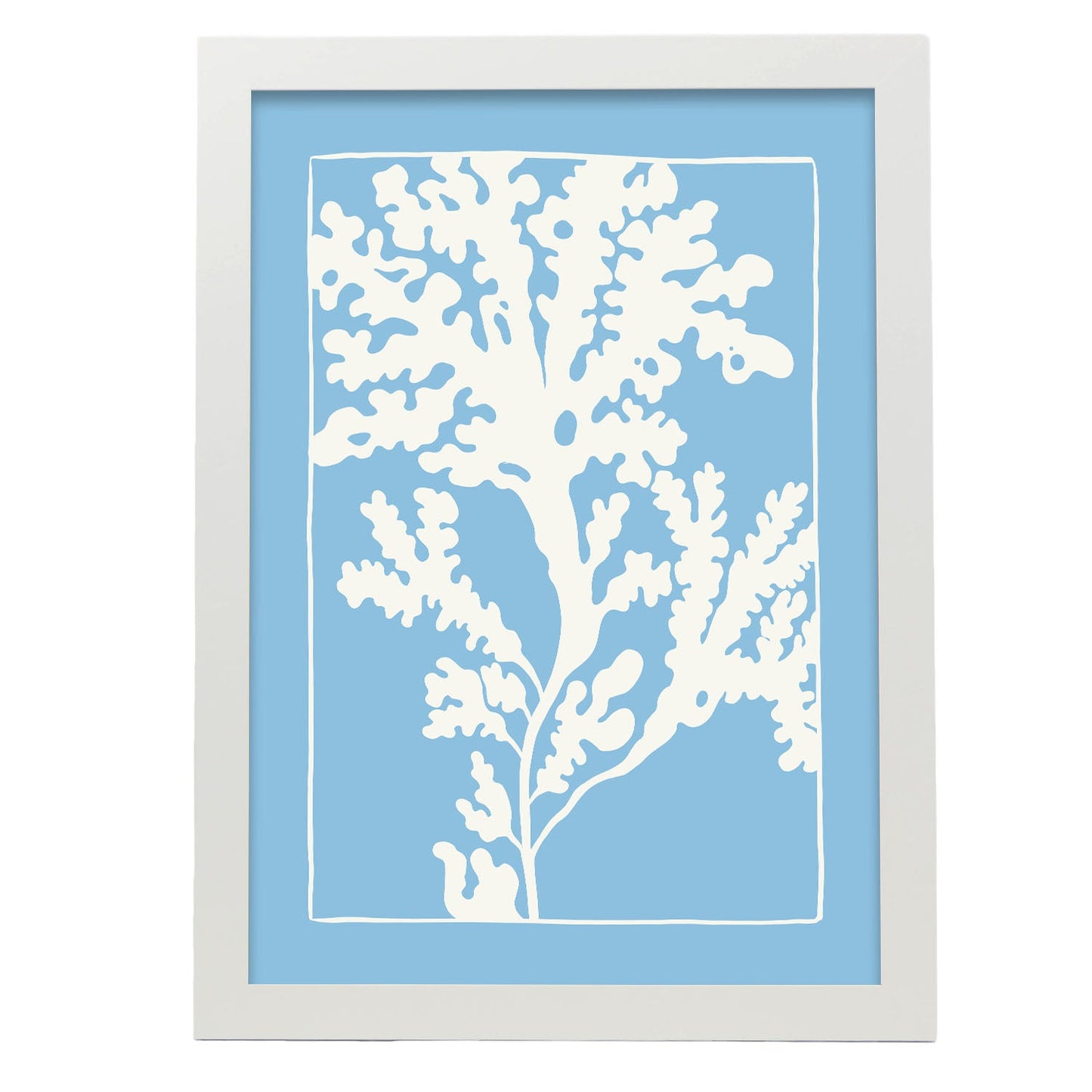 Rhodymenia Seaweeds-Artwork-Nacnic-A3-Marco Blanco-Nacnic Estudio SL