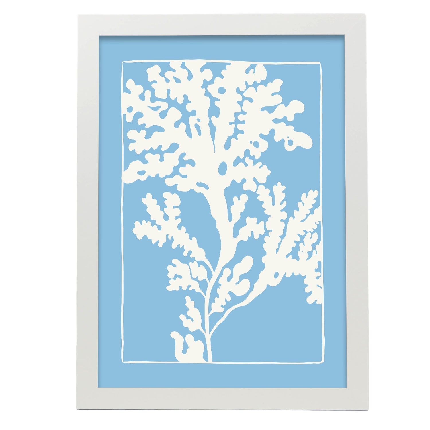 Rhodymenia Seaweeds-Artwork-Nacnic-A3-Marco Blanco-Nacnic Estudio SL