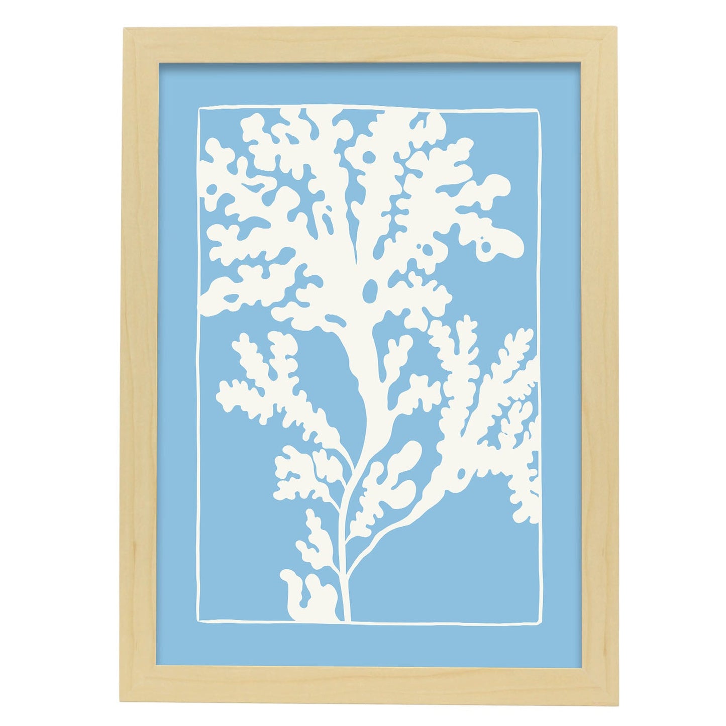 Rhodymenia Seaweeds-Artwork-Nacnic-A3-Marco Madera clara-Nacnic Estudio SL