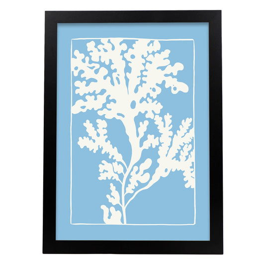 Rhodymenia Seaweeds-Artwork-Nacnic-A3-Sin marco-Nacnic Estudio SL