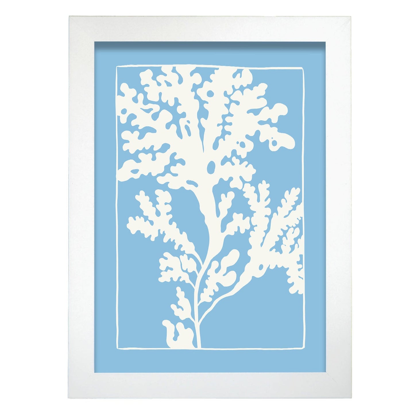 Rhodymenia Seaweeds-Artwork-Nacnic-A4-Marco Blanco-Nacnic Estudio SL