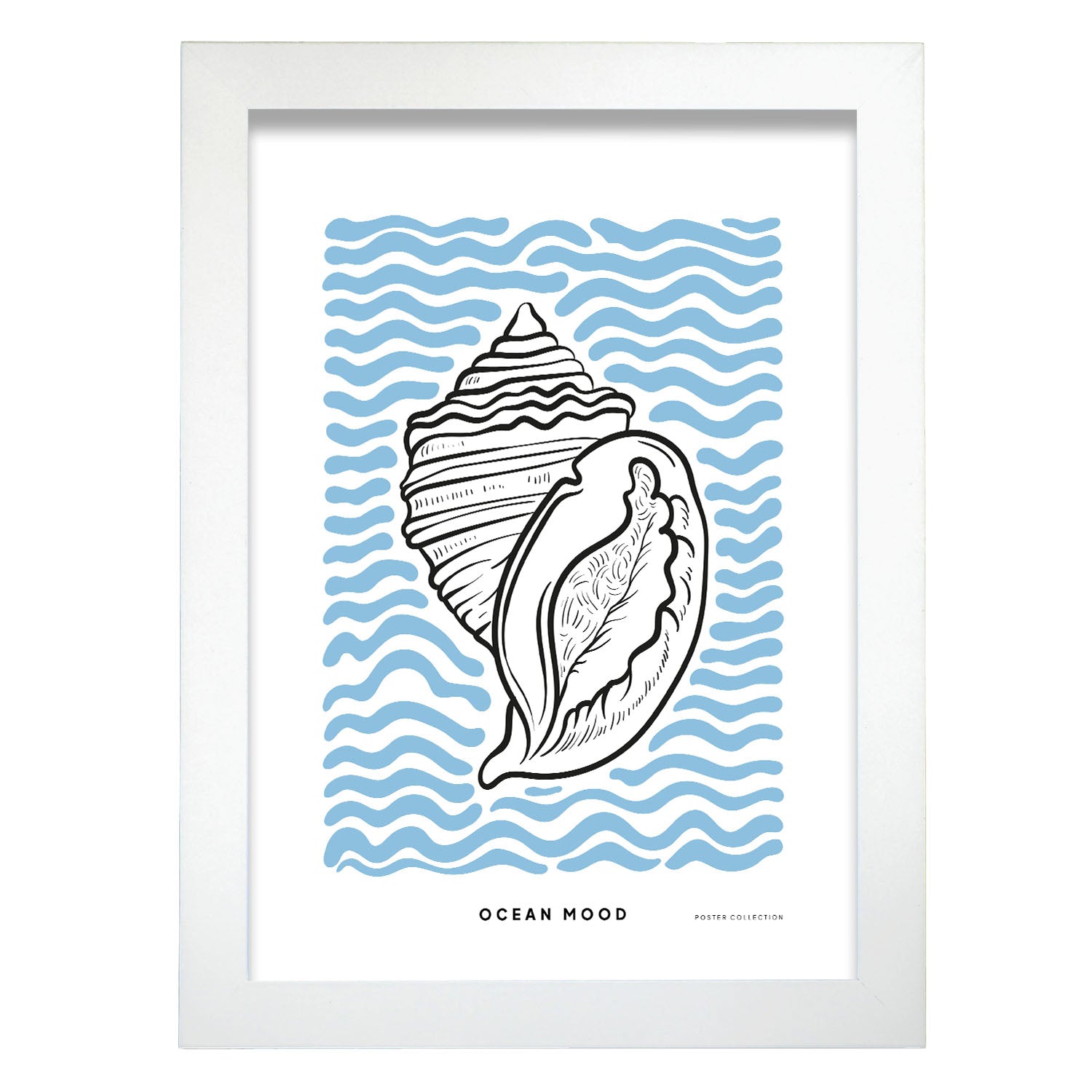 Ribbed Cantharus-Artwork-Nacnic-A4-Marco Blanco-Nacnic Estudio SL