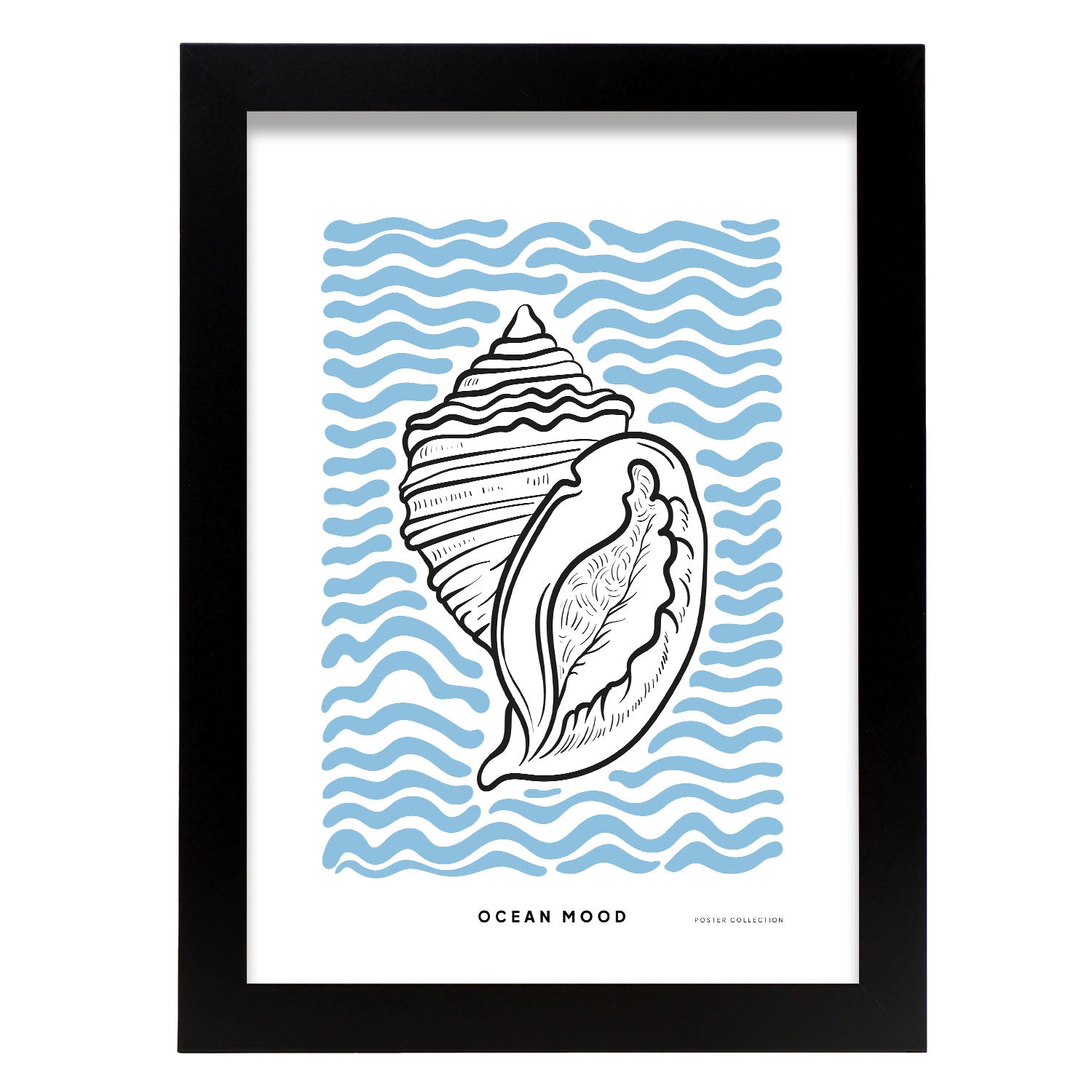 Ribbed Cantharus-Artwork-Nacnic-A4-Sin marco-Nacnic Estudio SL