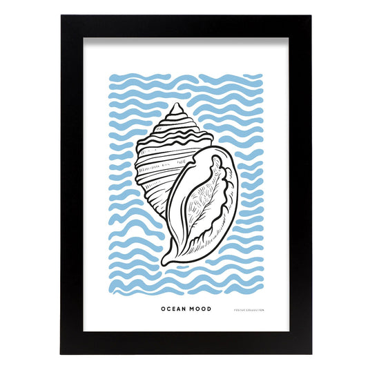 Ribbed Cantharus-Artwork-Nacnic-A4-Sin marco-Nacnic Estudio SL