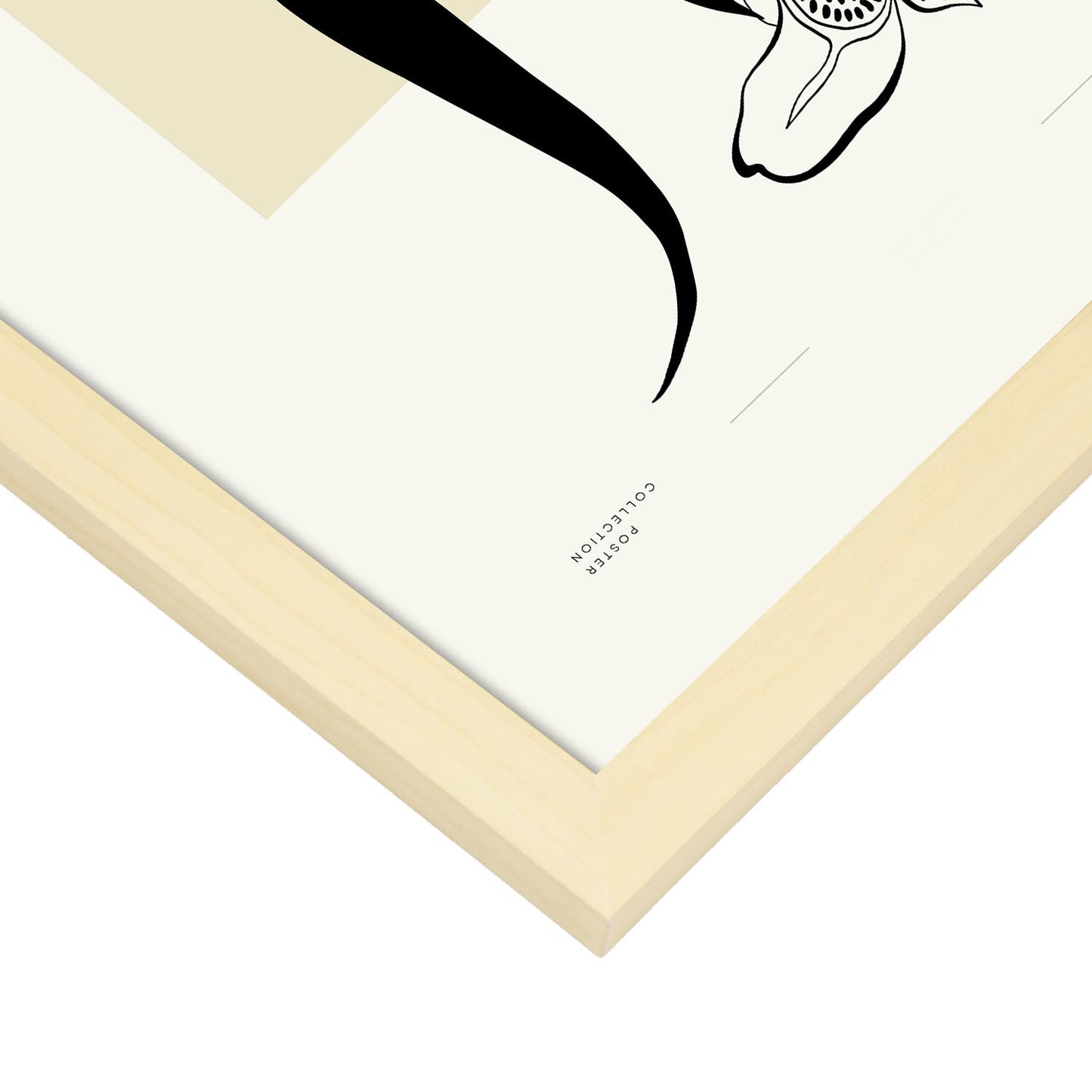 Royal Orchid-Artwork-Nacnic-Nacnic Estudio SL