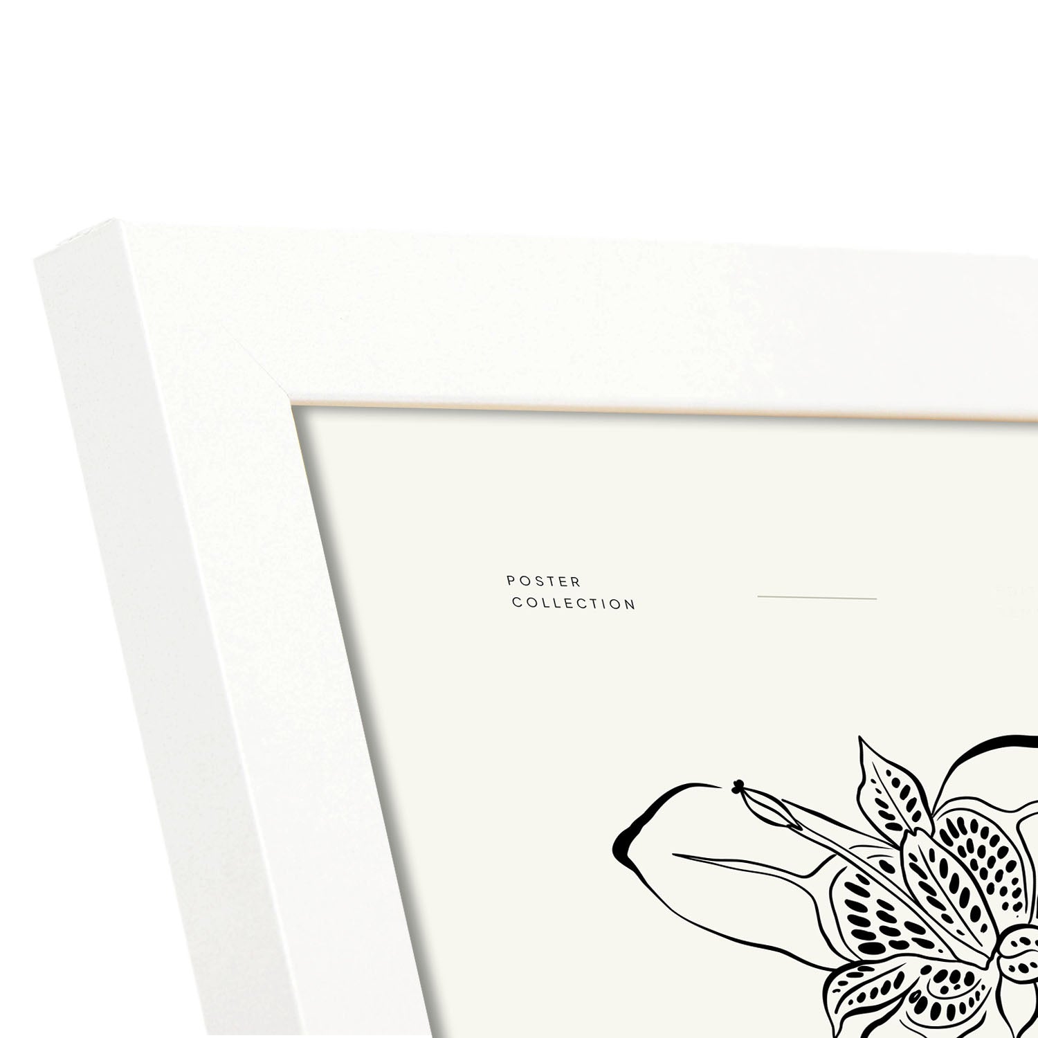 Royal Orchid-Artwork-Nacnic-Nacnic Estudio SL