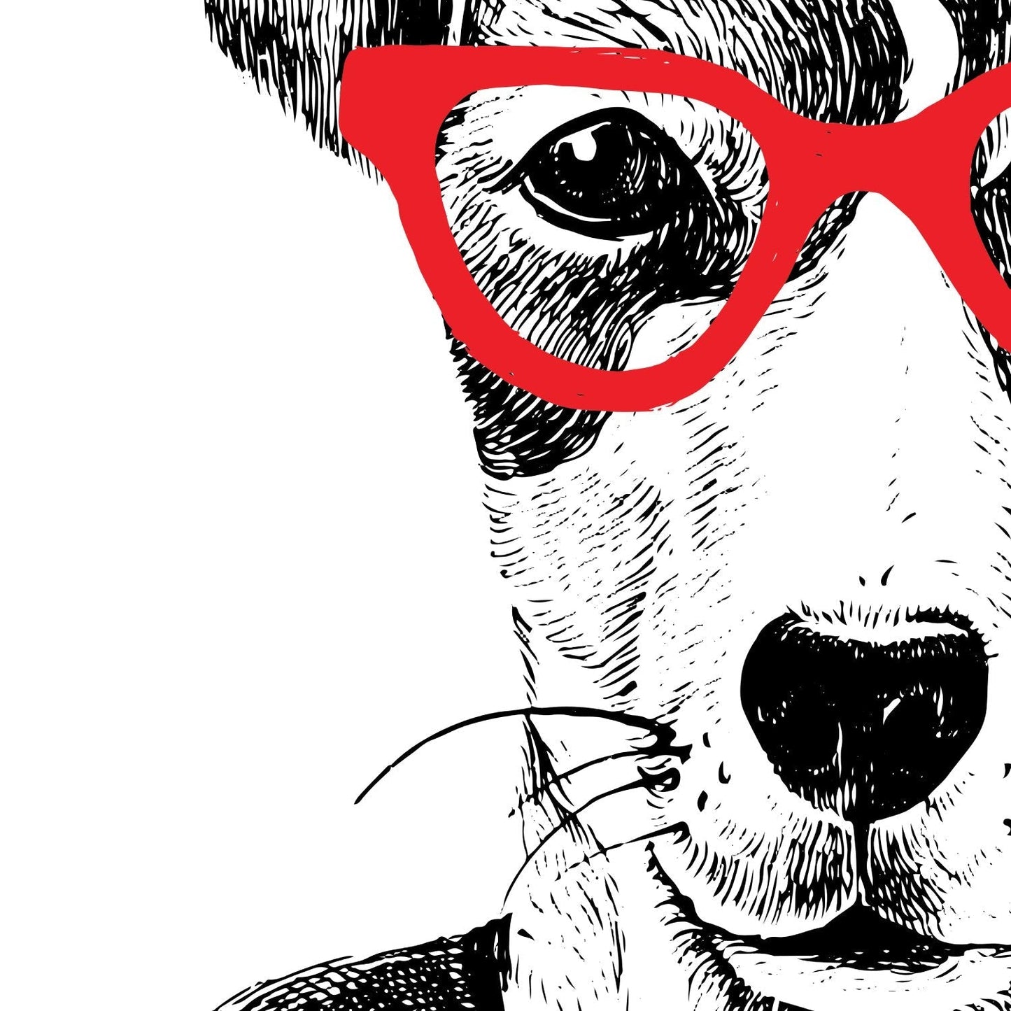 Satz von zwei ILLUSTRATED TIERE. Satz von zwei Poster zum Rahmen mit Illustrationen von Tieren. Geschenk für die Freunde der Tiere. Inneneinrichtung Papier 250 Gramm hohe Qualität. Nacnic-Artwork-Nacnic-Nacnic Estudio SL