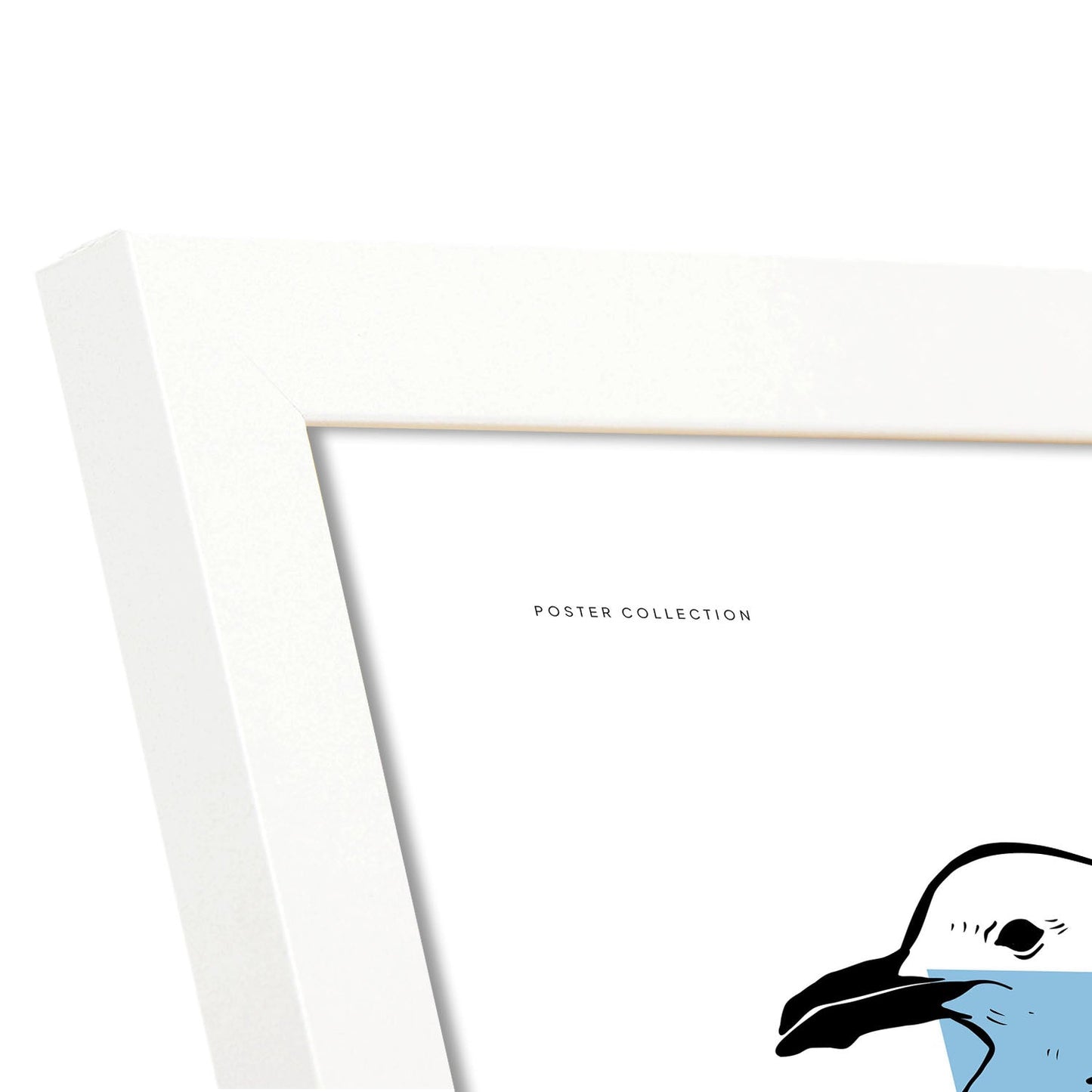 Seagul-Artwork-Nacnic-Nacnic Estudio SL